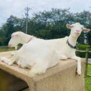 ヒメ日記 2025/02/07 23:48 投稿 のん LEXE ～レグゼ～