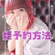 ヒメ日記 2025/02/19 11:48 投稿 のん LEXE ～レグゼ～