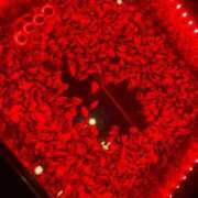 ヒメ日記 2025/02/28 21:04 投稿 のん LEXE ～レグゼ～