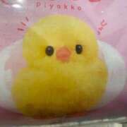 ヒメ日記 2025/03/16 19:48 投稿 のん LEXE ～レグゼ～