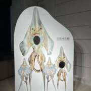 ヒメ日記 2025/03/30 14:48 投稿 のん LEXE ～レグゼ～