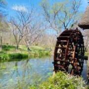 ヒメ日記 2025/04/12 21:33 投稿 のん LEXE ～レグゼ～