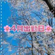 ヒメ日記 2025/04/15 15:18 投稿 のん LEXE ～レグゼ～