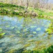 ヒメ日記 2025/04/16 08:18 投稿 のん LEXE ～レグゼ～