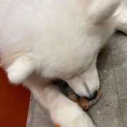 ヒメ日記 2025/06/12 15:12 投稿 のん LEXE ～レグゼ～