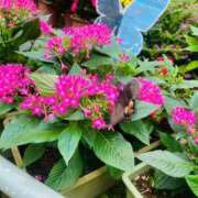 ヒメ日記 2025/06/21 23:57 投稿 のん LEXE ～レグゼ～