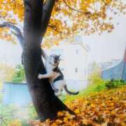 ヒメ日記 2025/07/30 14:42 投稿 のん LEXE ～レグゼ～