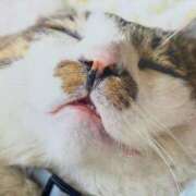 ヒメ日記 2025/08/02 19:06 投稿 のん LEXE ～レグゼ～