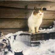 ヒメ日記 2025/08/05 07:21 投稿 のん LEXE ～レグゼ～