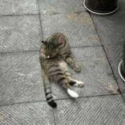 ヒメ日記 2025/09/21 23:00 投稿 ゆい 逆電車ごっこ ～GLAMOROUS TRAIN～