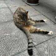 ヒメ日記 2025/10/01 17:50 投稿 ゆい 逆電車ごっこ ～GLAMOROUS TRAIN～