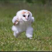 ヒメ日記 2025/11/09 11:20 投稿 ゆい 逆電車ごっこ ～GLAMOROUS TRAIN～