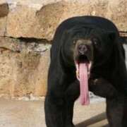 ヒメ日記 2026/03/07 14:30 投稿 ゆい 逆電車ごっこ ～GLAMOROUS TRAIN～