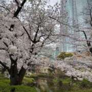 ヒメ日記 2025/05/09 21:50 投稿 もえぎ 逆電車ごっこ ～GLAMOROUS TRAIN～