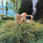 ヒメ日記 2025/06/04 17:51 投稿 もえぎ 逆電車ごっこ ～GLAMOROUS TRAIN～