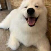 ヒメ日記 2026/03/20 00:50 投稿 もえぎ 逆電車ごっこ ～GLAMOROUS TRAIN～