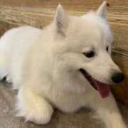 ヒメ日記 2026/03/21 00:30 投稿 もえぎ 逆電車ごっこ ～GLAMOROUS TRAIN～