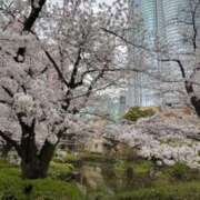 ヒメ日記 2026/03/29 22:50 投稿 もえぎ 逆電車ごっこ ～GLAMOROUS TRAIN～