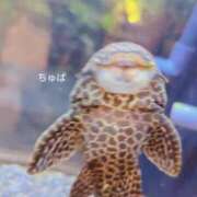 ヒメ日記 2025/08/07 21:40 投稿 ゆうな 逆電車ごっこ ～GLAMOROUS TRAIN～