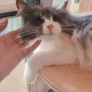 ヒメ日記 2025/08/09 03:50 投稿 ゆうな 逆電車ごっこ ～GLAMOROUS TRAIN～