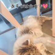 ヒメ日記 2025/11/02 21:30 投稿 ゆうな 逆電車ごっこ ～GLAMOROUS TRAIN～