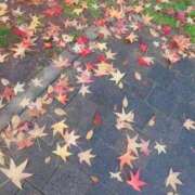 ヒメ日記 2025/11/28 19:10 投稿 ゆうな 逆電車ごっこ ～GLAMOROUS TRAIN～