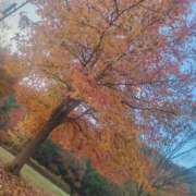 ヒメ日記 2025/11/28 20:56 投稿 ゆうな 逆電車ごっこ ～GLAMOROUS TRAIN～