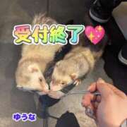 ヒメ日記 2026/03/15 14:10 投稿 ゆうな 逆電車ごっこ ～GLAMOROUS TRAIN～