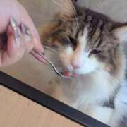 ヒメ日記 2026/04/24 00:10 投稿 ゆうな 逆電車ごっこ ～GLAMOROUS TRAIN～