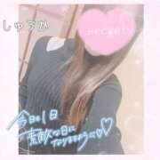 ヒメ日記 2025/02/10 17:54 投稿 しゅうか 逆電車ごっこ ～GLAMOROUS TRAIN～