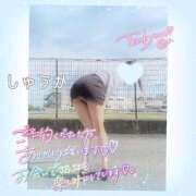 ヒメ日記 2025/02/10 19:50 投稿 しゅうか 逆電車ごっこ ～GLAMOROUS TRAIN～