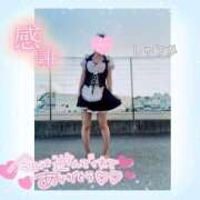 ヒメ日記 2025/02/11 00:43 投稿 しゅうか 逆電車ごっこ ～GLAMOROUS TRAIN～