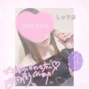 ヒメ日記 2025/03/10 22:23 投稿 しゅうか 逆電車ごっこ ～GLAMOROUS TRAIN～