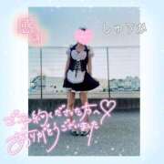 ヒメ日記 2025/03/23 17:50 投稿 しゅうか 逆電車ごっこ ～GLAMOROUS TRAIN～