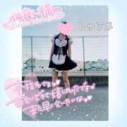 ヒメ日記 2025/03/23 18:32 投稿 しゅうか 逆電車ごっこ ～GLAMOROUS TRAIN～