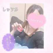 ヒメ日記 2025/04/06 00:50 投稿 しゅうか 逆電車ごっこ ～GLAMOROUS TRAIN～