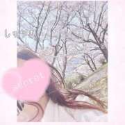 ヒメ日記 2025/04/08 17:50 投稿 しゅうか 逆電車ごっこ ～GLAMOROUS TRAIN～