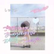 ヒメ日記 2025/08/11 11:40 投稿 しゅうか 逆電車ごっこ ～GLAMOROUS TRAIN～