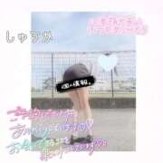 ヒメ日記 2025/09/05 19:40 投稿 しゅうか 逆電車ごっこ ～GLAMOROUS TRAIN～