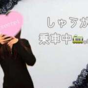 ヒメ日記 2025/09/12 20:50 投稿 しゅうか 逆電車ごっこ ～GLAMOROUS TRAIN～