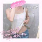 ヒメ日記 2025/10/04 13:50 投稿 しゅうか 逆電車ごっこ ～GLAMOROUS TRAIN～