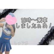 ヒメ日記 2025/11/17 18:31 投稿 しゅうか 逆電車ごっこ ～GLAMOROUS TRAIN～