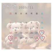 ヒメ日記 2025/11/17 23:50 投稿 しゅうか 逆電車ごっこ ～GLAMOROUS TRAIN～