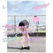 ヒメ日記 2025/12/13 15:10 投稿 しゅうか 逆電車ごっこ ～GLAMOROUS TRAIN～