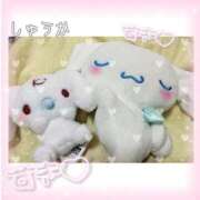 ヒメ日記 2025/12/20 19:23 投稿 しゅうか 逆電車ごっこ ～GLAMOROUS TRAIN～