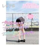 ヒメ日記 2025/12/21 10:50 投稿 しゅうか 逆電車ごっこ ～GLAMOROUS TRAIN～