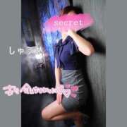 ヒメ日記 2025/12/29 11:20 投稿 しゅうか 逆電車ごっこ ～GLAMOROUS TRAIN～