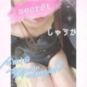 ヒメ日記 2026/01/17 19:44 投稿 しゅうか 逆電車ごっこ ～GLAMOROUS TRAIN～