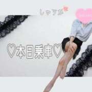 ヒメ日記 2026/02/07 10:50 投稿 しゅうか 逆電車ごっこ ～GLAMOROUS TRAIN～