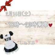 ヒメ日記 2026/02/07 23:40 投稿 しゅうか 逆電車ごっこ ～GLAMOROUS TRAIN～